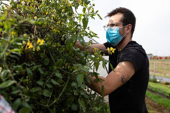 Photo of a masked Chatham University student working in the agroecology garden on Eden Hall Campus